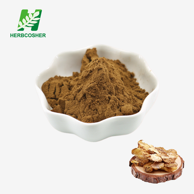 Polygonatum Extract